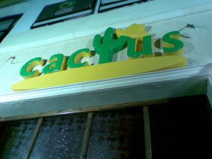 catcus logo